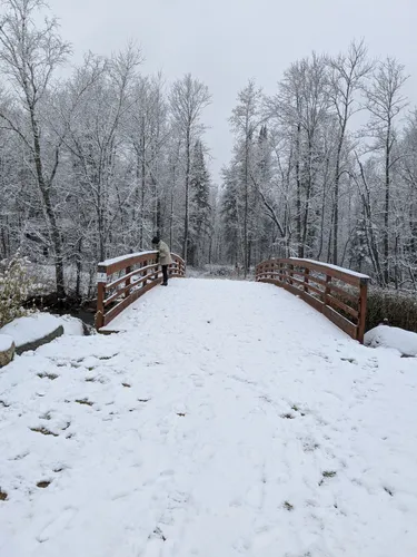 Best Hikes and Trails in Three Island Lake County Park AllTrails