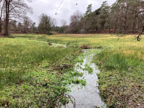 Springendal Groene Wandelroute Bronnenroute