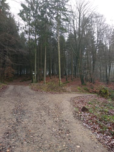 Hüggel Runde zum Silbersee