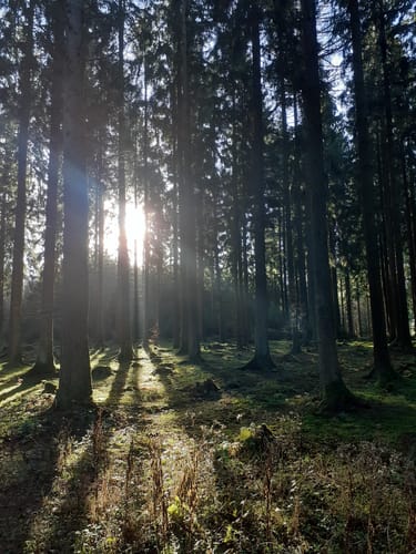 Ausoniusweg Etappe 3: Kirchberg - Morbach