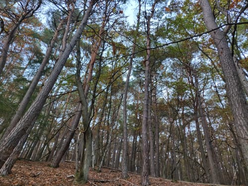 Am Dörrenbach