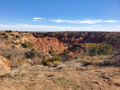 are dogs allowed at caprock canyon state park