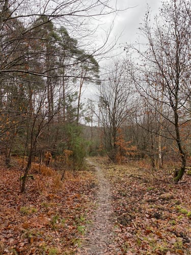Geistkircher Kapelle - Naturschutzgebiet Frohnsbachtal - Geißbachtal