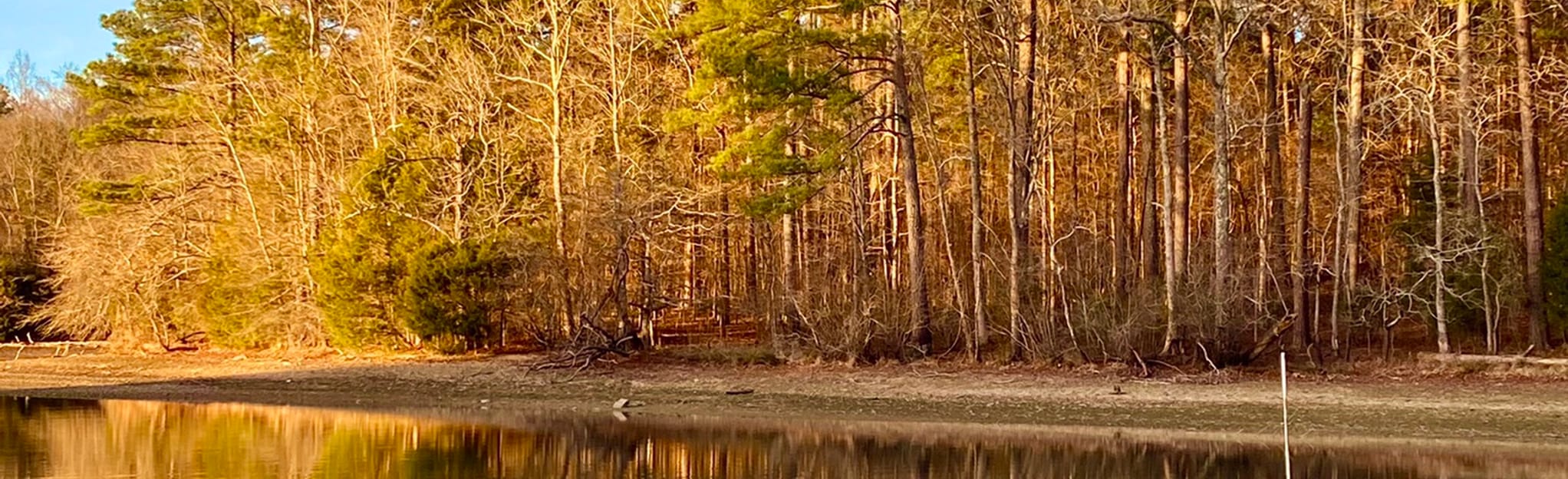 Pickwick Island Loop Trail Tennessee AllTrails