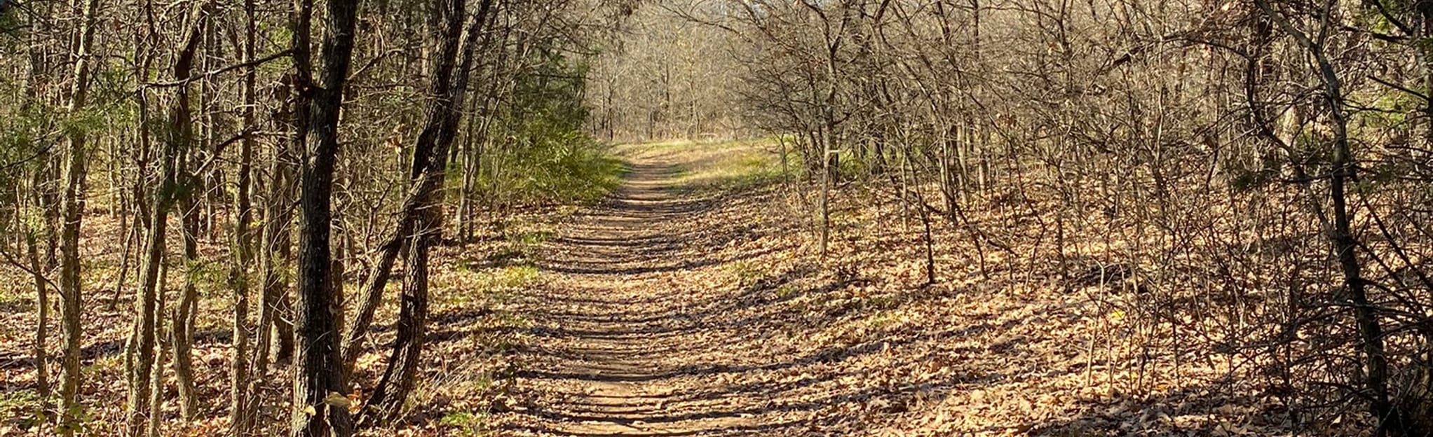 Pilot Knoll Trail to Chinn Chapel Rd, Texas 88 Reviews, Map AllTrails
