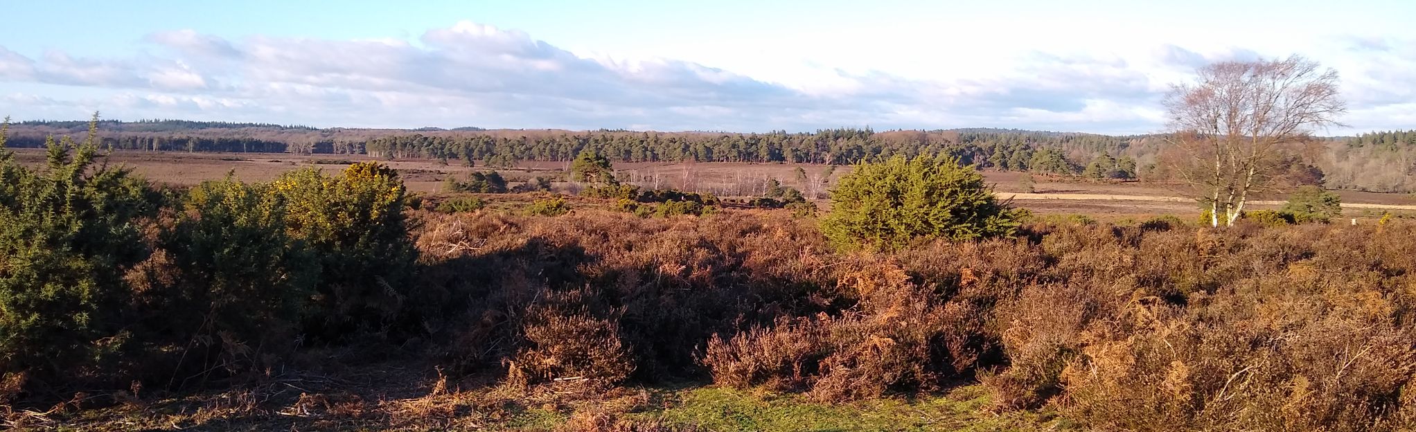 Crab Tree Earth And Naked Man Circular Foto S Hampshire Engeland Wandelen Alltrails