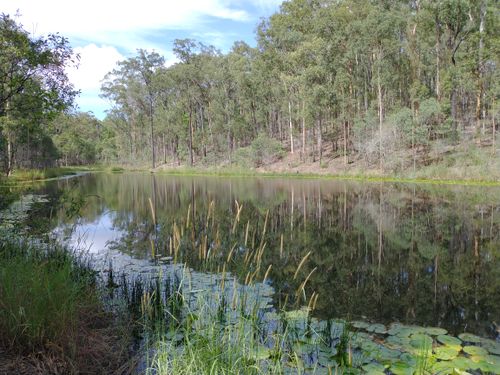 Best 10 Hikes and Trails in Bunyaville Conservation Park | AllTrails