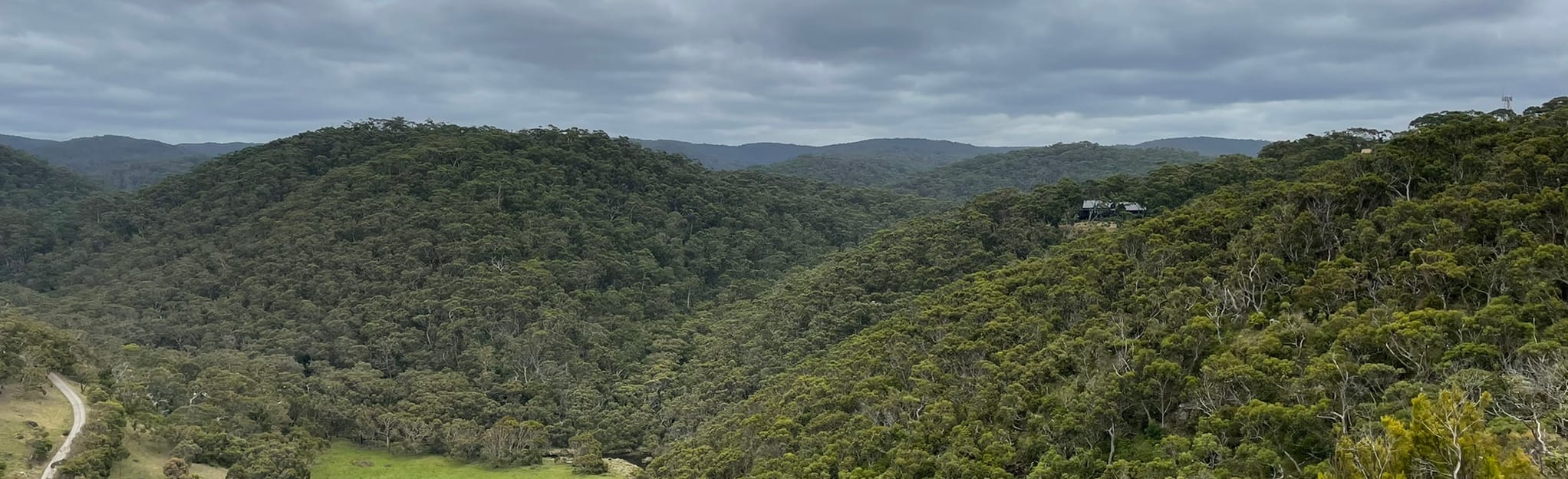 Teddy's and Otway Ranges Lookout Loop Victoria, Australia AllTrails