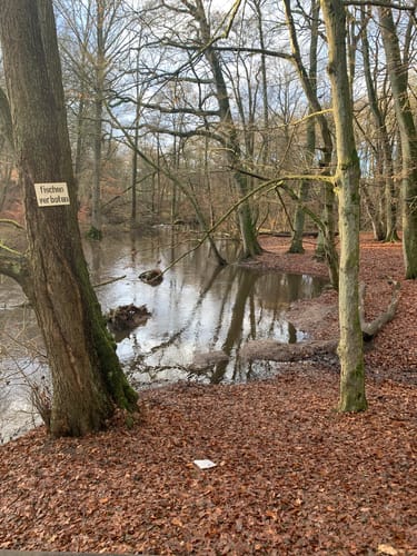 Ohe Rundweg