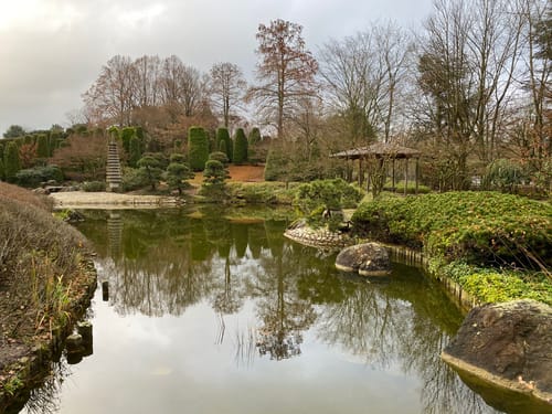 Freizeitpark Rheinaue