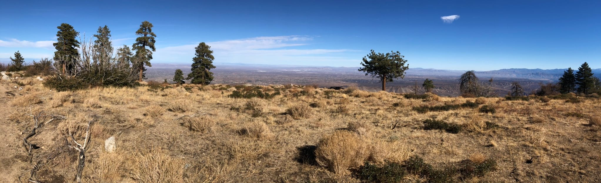 Circle Mountain, California 119 Reviews, Map AllTrails