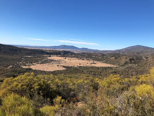 2023 Best Bird Watching Trails in Anza AllTrails