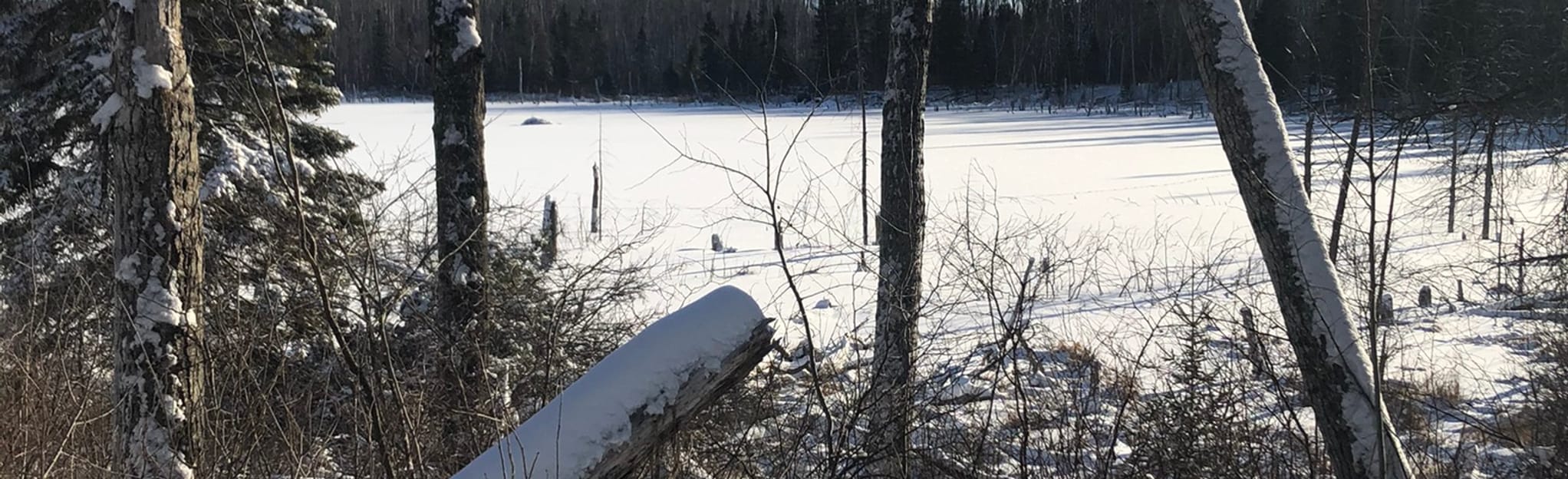 Jack Rabbit loop via Batka Major, Ski Hill and Sergent Lake 5 Reviews