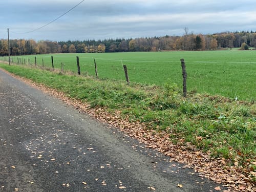 RTF (2019) RSC-Dinslaken - 26er Strecke
