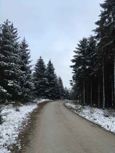 Soonwaldsteig Etappe 5: Rheinböllen - Jägerhaus