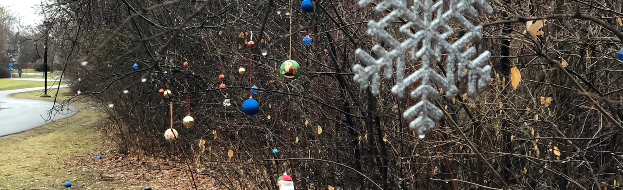 Greenboro Pathway, Ontario, Canada 27 Reviews, Map AllTrails