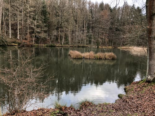 Nümbrecht Rundweg