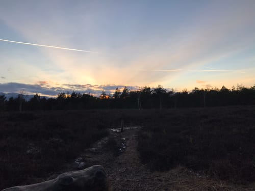 Schönramer Moor