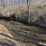 Weldon Spring Loop, Missouri - 396 Reviews, Map | AllTrails