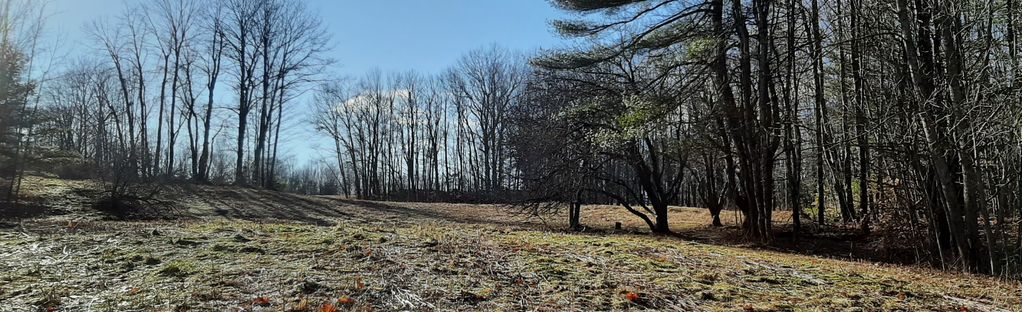 are dogs allowed at thorncrag lewiston maine