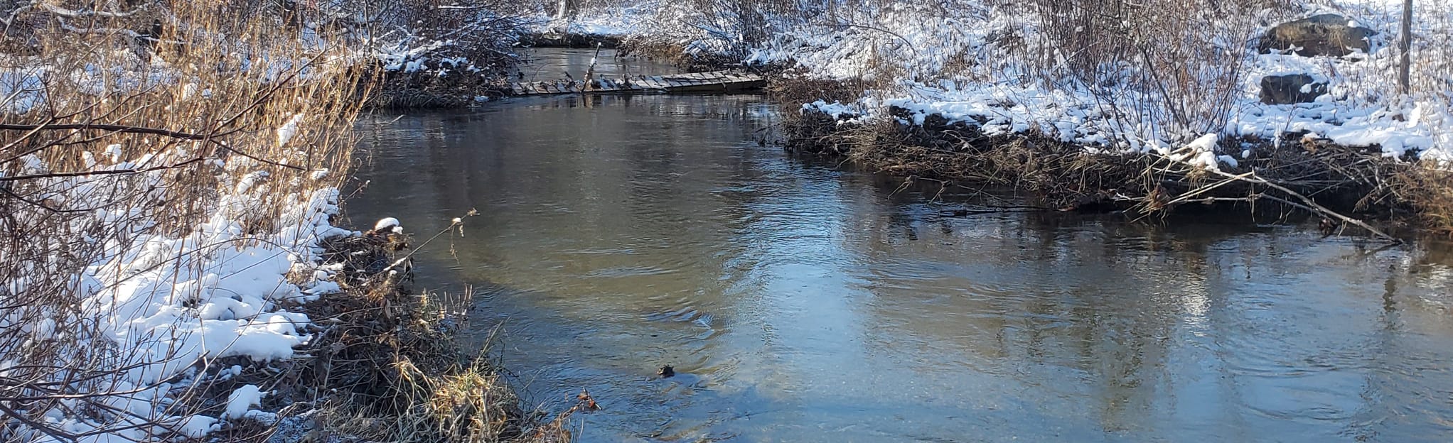 Sand Lake Walking Trail, New York 79 Reviews, Map AllTrails