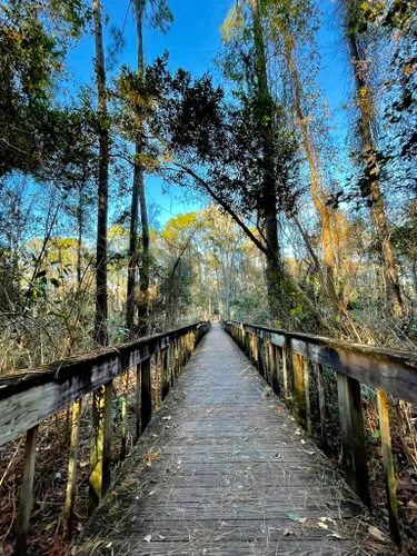 Beacon Hills Walking And Running Trail - Jacksonville, Florida, USA
