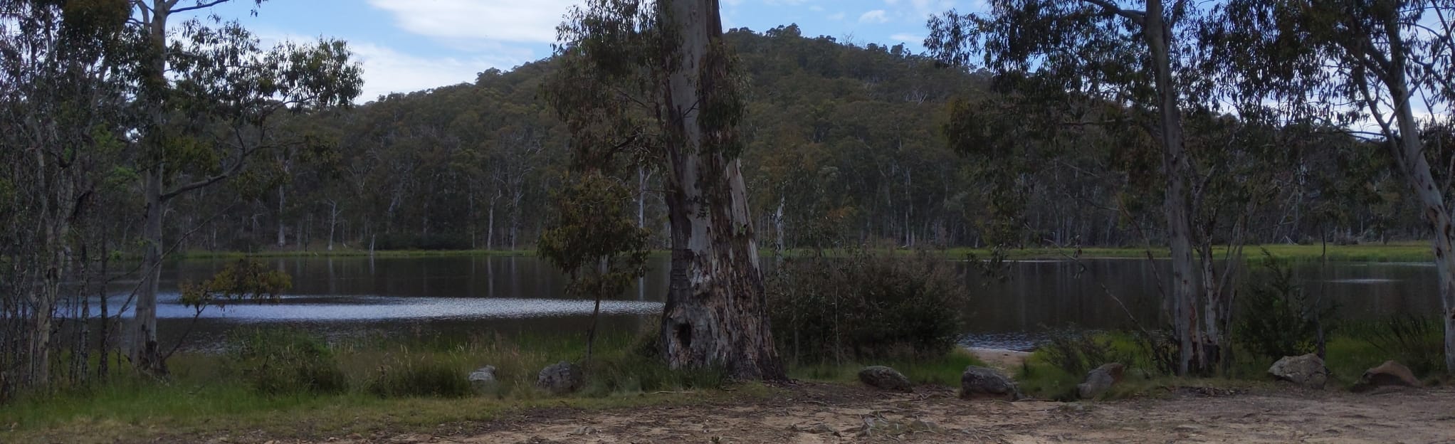 Cobbler Lake Short Loop: 3 Reviews, Map - Victoria, Australia | AllTrails