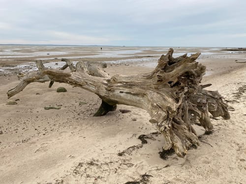Ludwigsburg – Greifswalder Bodden – Buchenwald