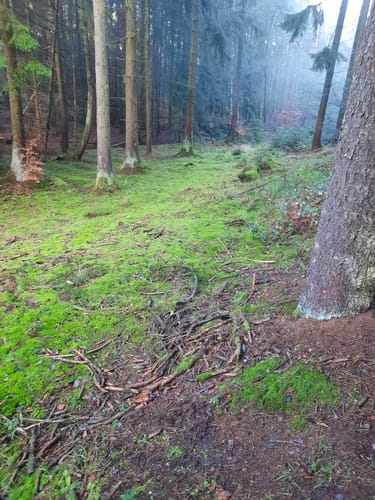 Hettenleidelheim - Lauberhof