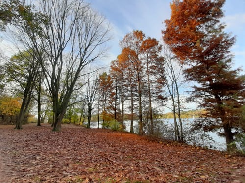 Rundweg Sechs Seen Platte