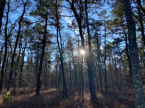 Best Hikes and Trails in Hyannis Ponds Management Area | AllTrails