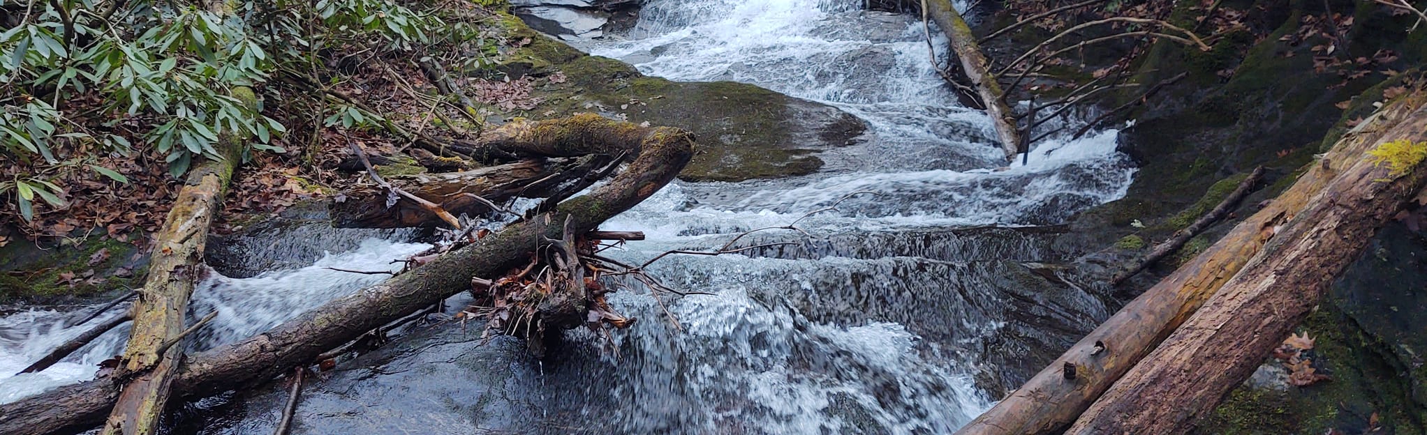 Laughing Falls Trail , North Carolina - 96 Reviews, Map | AllTrails