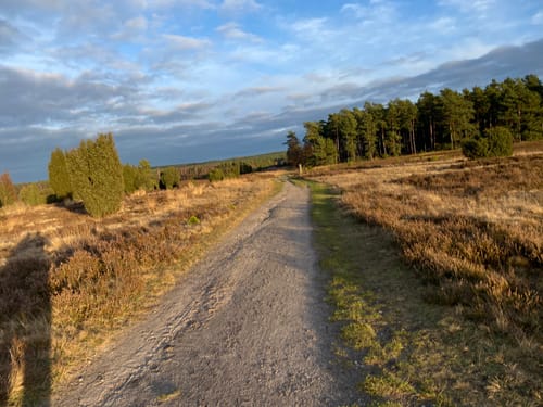 Radweg 23 ab Hanstedt