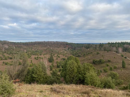 Wilseder Berg