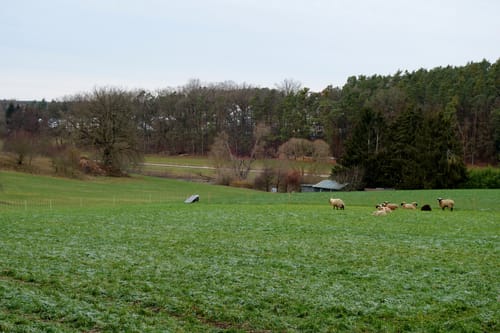 Mühlen an der Aurach