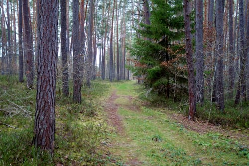 Mühlen an der Aurach