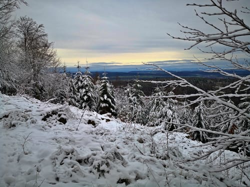 Aus Engelsbrand zur Büchenbronner Höhe