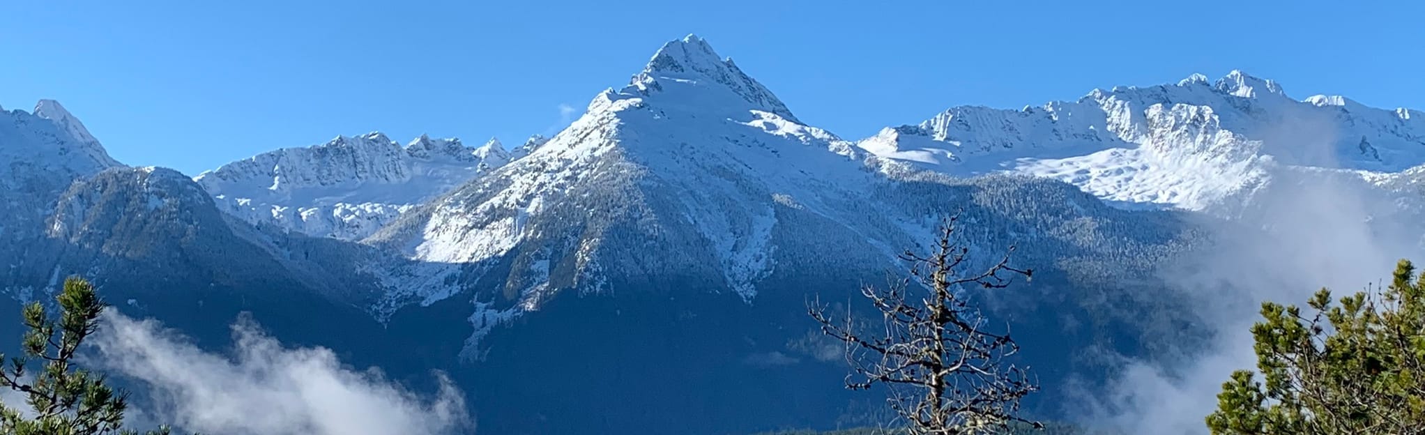 High, Tantalus View and Alder Trails Loop 27 Reviews, Map British