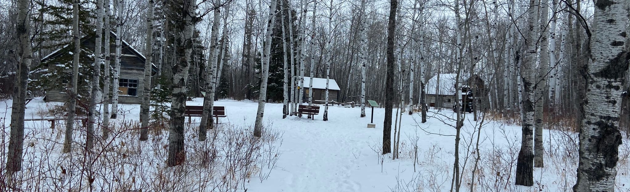 Pine Ridge, Sparrow and Field Trail 12 Reviews, Map Manitoba, Canada