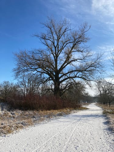 Pocking - Pockinger Baggersee Runde