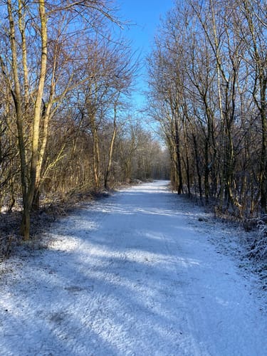 Pocking - Pockinger Baggersee Runde