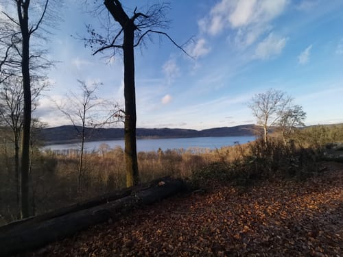 Laacher See Ausblick Rundwanderung