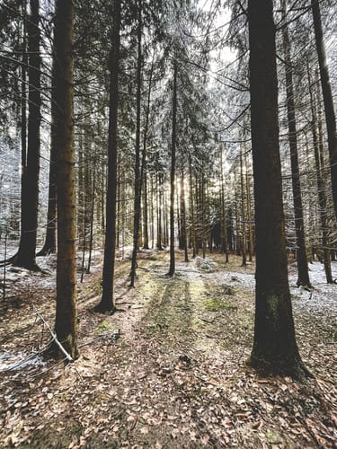 Heilbrunn zum Viechtberg