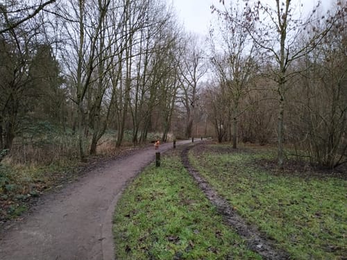 Bergen - Gysenberger Wald Runde