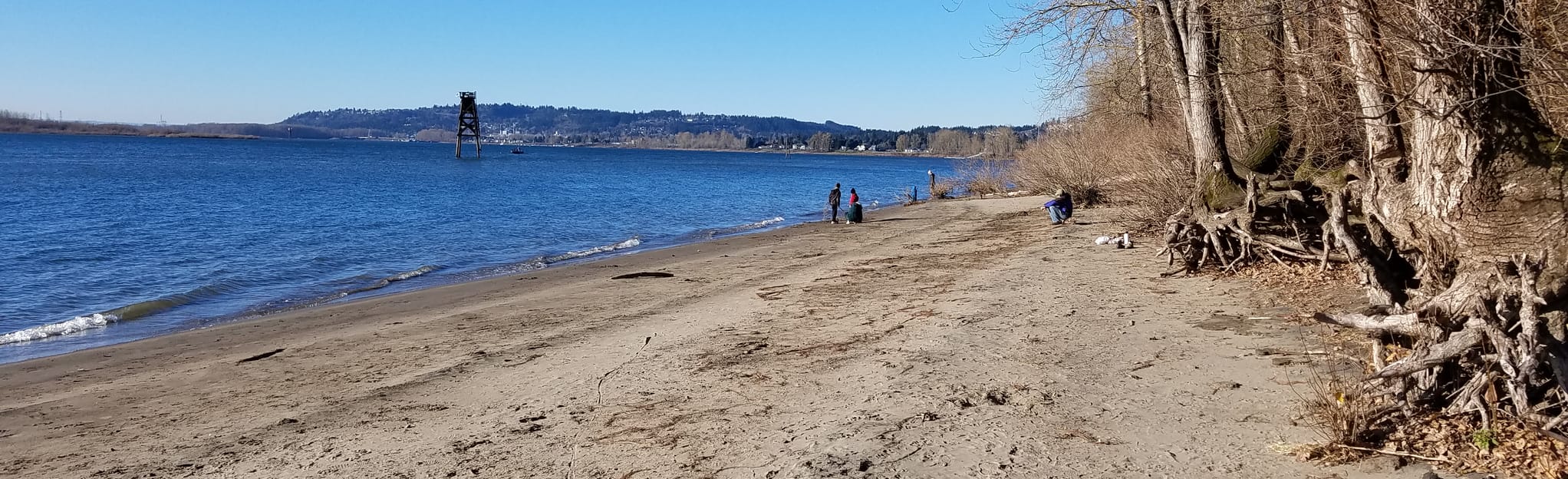 Captain William Clark Regional Park at Cottonwood Beach 749 Reviews