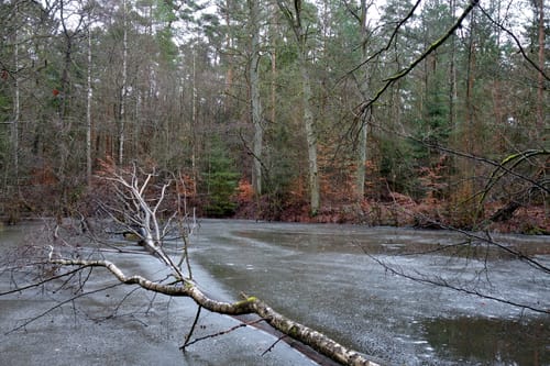 Wanderweg Nr. 106: Buchenbühl – Erlangen