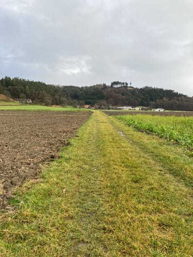 Stubenberg Tour 8 - Die klopfenden Domherren