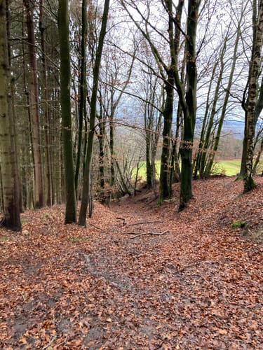 Stubenberg Tour 8 - Die klopfenden Domherren