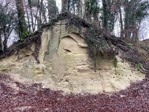 Stubenberg Tour 8 - Die klopfenden Domherren