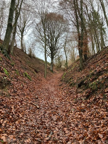 Stubenberg Tour 8 - Die klopfenden Domherren